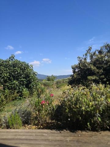 Villa Spacieuse Avec Terrasse Et Vue Mont Ventoux Entrechaux 외부 사진