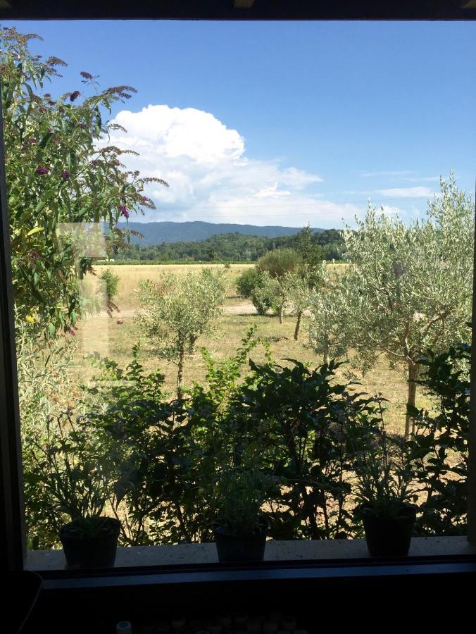 Villa Spacieuse Avec Terrasse Et Vue Mont Ventoux Entrechaux 외부 사진